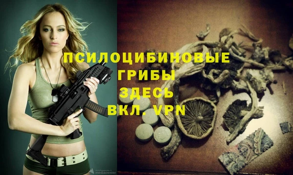 a pvp Елизово