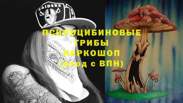 каннабис Ельня