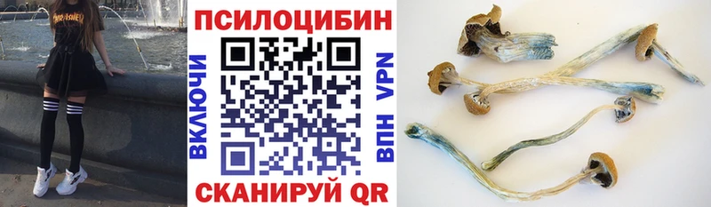 Галлюциногенные грибы прущие грибы  Заводоуковск 