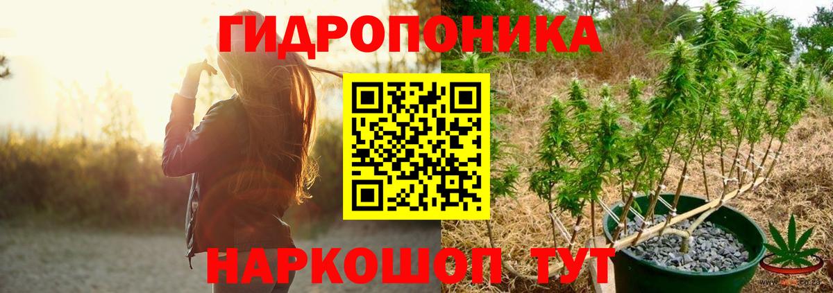 Бошки Шишки Amnesia  Шишки марихуана конопля  Заводоуковск  Бошки Шишки сатива  Вход с VPN  Конопля OG Kush 